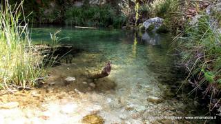 stello marchesa di Cassibile-10-02-2015 19-57-06